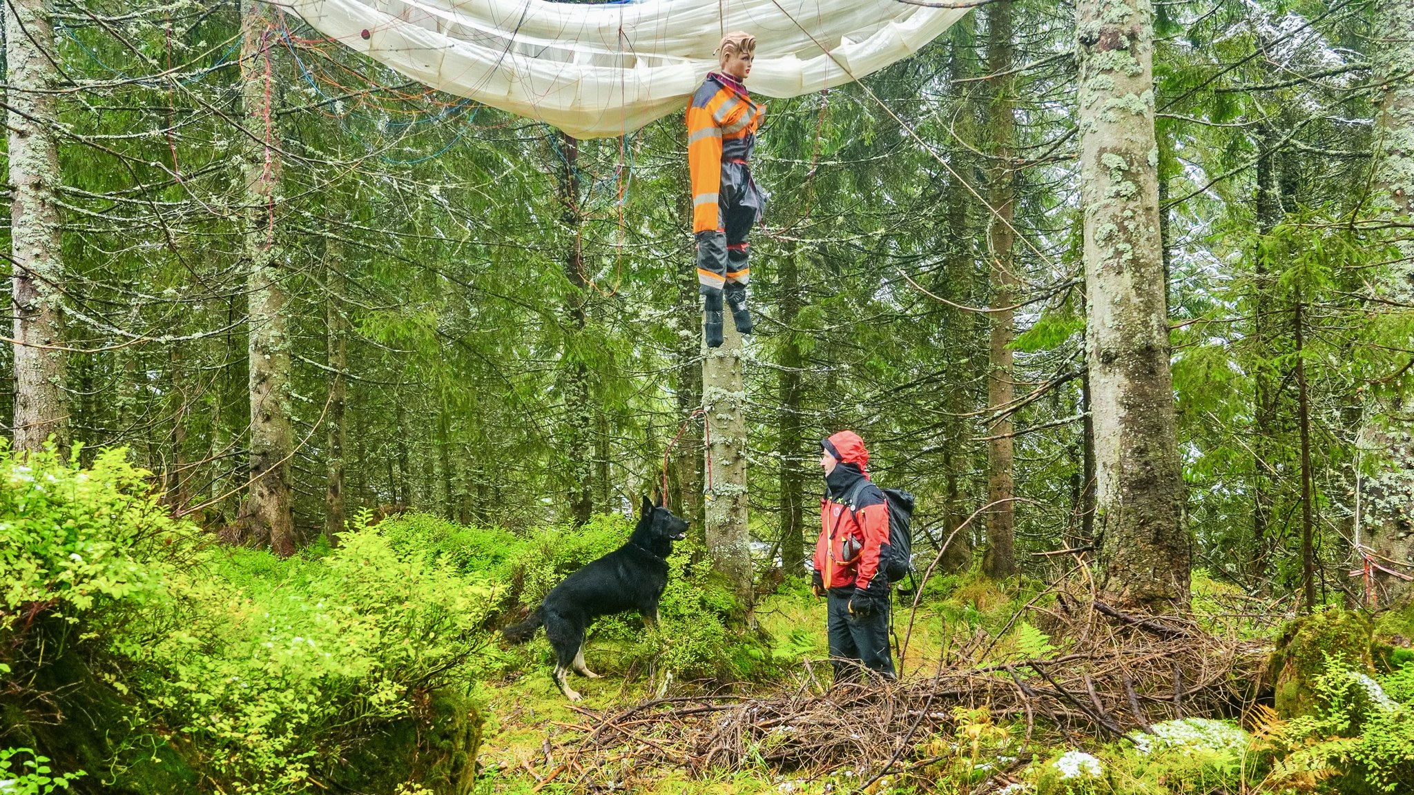 kynologicka rallye memorial stefana zavackeho 